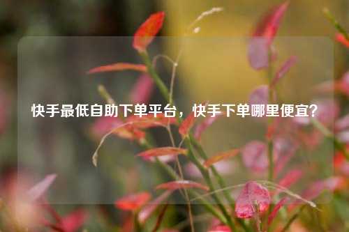快手最低自助下单平台，快手下单哪里便宜？