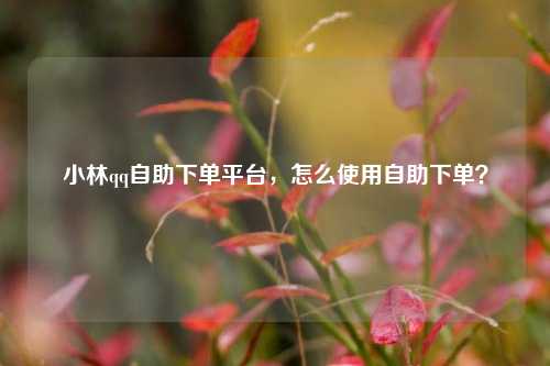 小林qq自助下单平台，怎么使用自助下单？