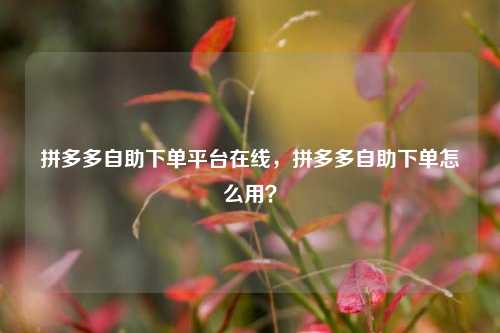 拼多多自助下单平台在线，拼多多自助下单怎么用？
