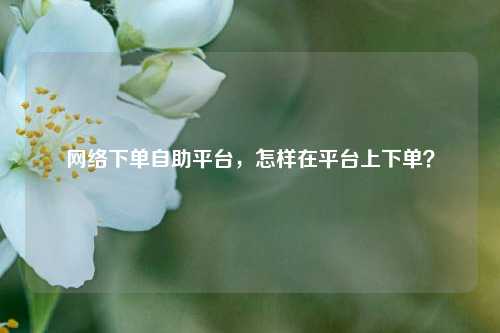 网络下单自助平台，怎样在平台上下单？