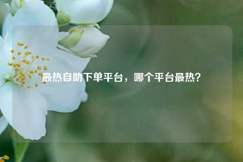 最热自助下单平台，哪个平台最热？