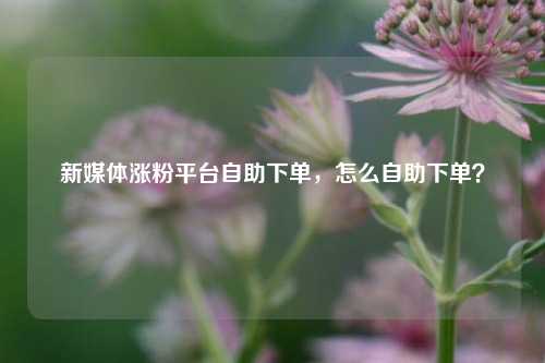 新媒体涨粉平台自助下单，怎么自助下单？