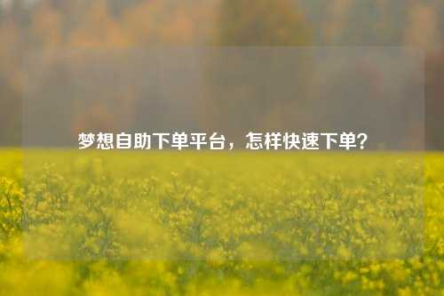 梦想自助下单平台，怎样快速下单？
