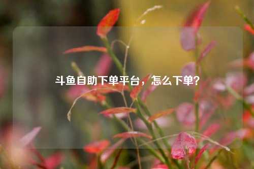 斗鱼自助下单平台，怎么下单？