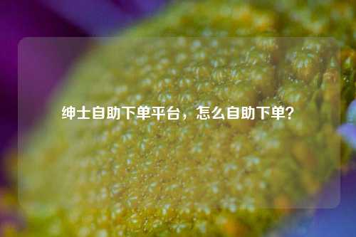 绅士自助下单平台，怎么自助下单？