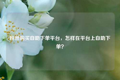粉丝购买自助下单平台，怎样在平台上自助下单？