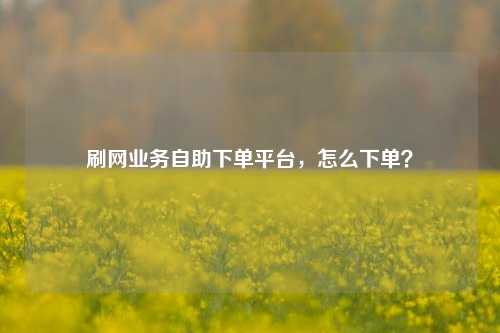 刷网业务自助下单平台，怎么下单？