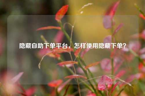 隐藏自助下单平台，怎样使用隐藏下单？
