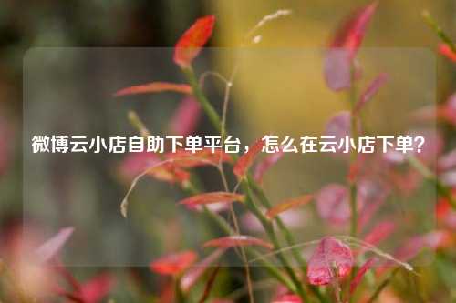微博云小店自助下单平台，怎么在云小店下单？