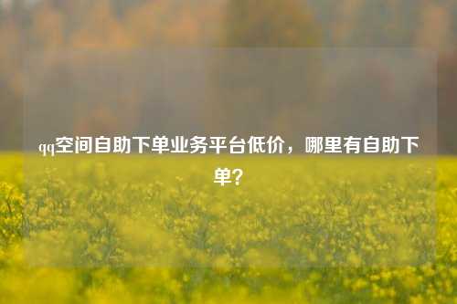 qq空间自助下单业务平台低价，哪里有自助下单？