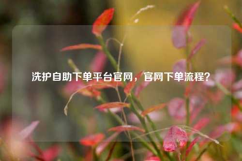 洗护自助下单平台官网，官网下单流程？