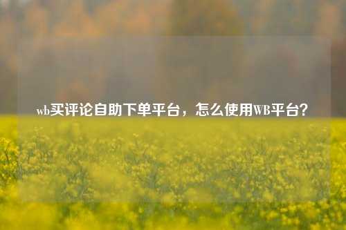 wb买评论自助下单平台，怎么使用WB平台？