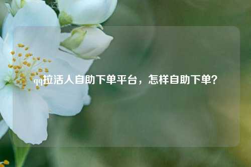 qq拉活人自助下单平台，怎样自助下单？
