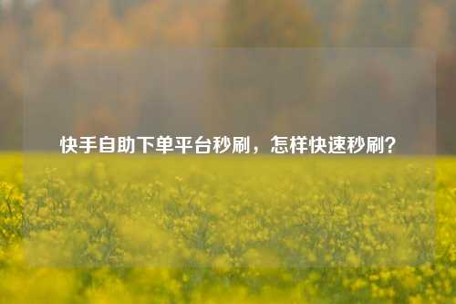 快手自助下单平台秒刷，怎样快速秒刷？