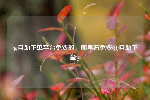 qq自助下单平台免费的，哪里有免费QQ自助下单？