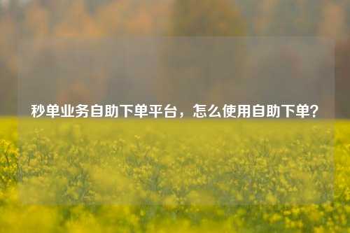 秒单业务自助下单平台，怎么使用自助下单？