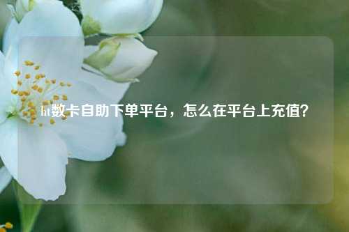 ht数卡自助下单平台，怎么在平台上充值？