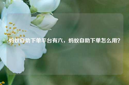 蚂蚁自助下单平台有六，蚂蚁自助下单怎么用？